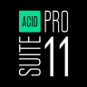 MAGIX ACID Pro Suite