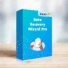 EaseUS Data Recovery Wizard Pro