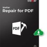 Stellar Repair for PDF