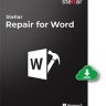 Stellar Repair for Word