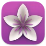 Vellum