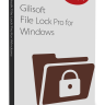 GiliSoft File Lock Pro