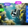 4Easysoft Video Converter
